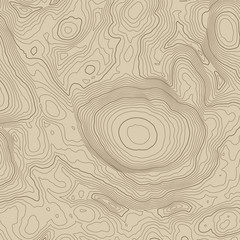 Leinwandbilder - Abstract topographic map background with height lines