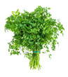 bundle of fresh Chervil herb cutout