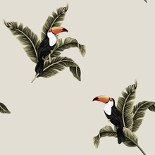Tropical Vintage Exotic Bird Toucan, Banana Leaves Floral Seamless Pattern Beige Background. Exotic Jungle Wallpaper.