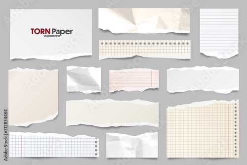 Fotografía Colored ripped lined paper strips collection