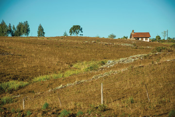 Wall Mural - House on top of hill with dry bushes and rocks