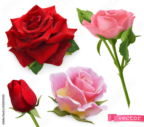 Fotografía Red and pink roses. 3d realistic vector set
