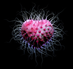 Wall Mural - 3d render of abstract organic heart with pinky hairs and curve antennas or tentacles around on black background with glowing effect on the back, symbol of sick love
