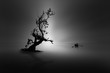 silhouette of a tree on the beach