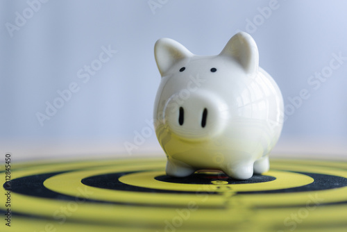 Cuadros en Lienzo piggy bank on dartboard concept of saving money with a goal