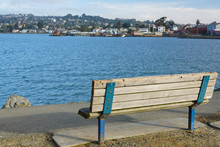 Bench By The Bay