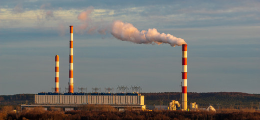 coal-fired power plant adapted for burning ecological fuels - Gryfino, Poland