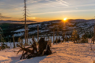 Wall Mural - sunny day on the top of the mountain after a hiking trip in winter with snow