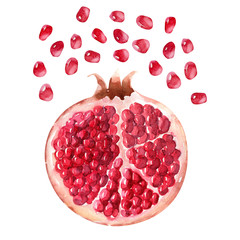 Watercolor compositions with pomegranates, pomegranate seeds and pomegranate juice