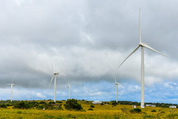 Wind turbines are  used to convert wind's kinetic energy into electrical energy which are widely used in electricity production in the modern age.