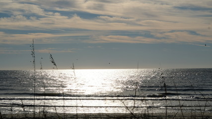 Wall Mural - sunset over sand and sea 008