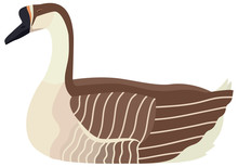Farming Today Vector Illustration Of A Sitting African Goose Isolated Object