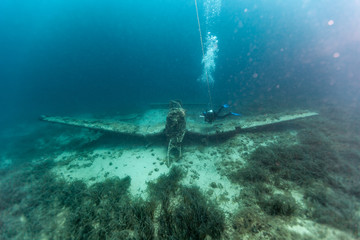 Wall Mural - The surprising underwater world of the Indian and Pacifical Oceans