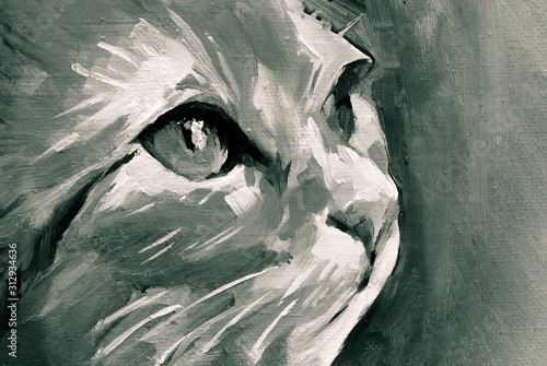 Fotomural Illustration in oil paint of a cat in profile with big blue-light and green eyes