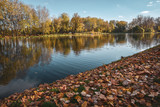 Fototapeta Pomosty - Autumn landscape with trees reflected in the river. Copy space. Selective focus.