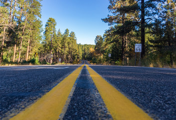 Poster - A road perspective in Coconino National Forest Arizona