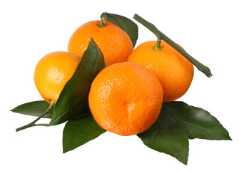 Wall Mural - tangerines isolated on a white background.