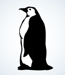 Canvas Print - Penguin on the ice. Vector drawing