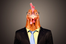 Portrait Of A Rooster In A Business Suit And Glasses On A Brown Background