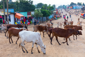 Wall Mural - jinka town, naciones, ethiopia, africa
