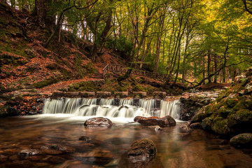 Stepping Stones