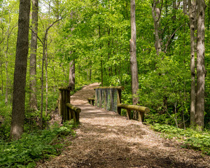 Nature trail, hiking path, winding through forest of nature conservation park with a wooden log bridge crossing stream