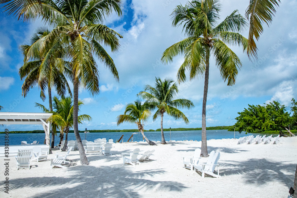 未使用・未開封品)Florida Keys: Islamorada to Key West [DVD]