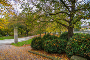 Wall Mural - Bridge in a city park with Fall foliage