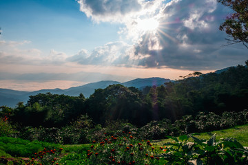 Wall Mural - Sunrise scene over the high mountain.