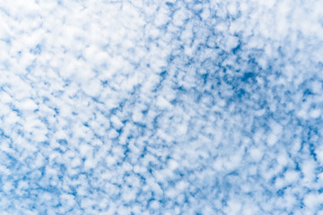 Wall Mural - Background A lot of beautiful Small Fluffy Clouds with blue sky in the morning