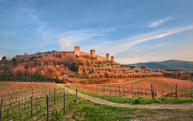 Wall Mural - Monteriggioni, Siena, Tuscany, Italy: landscape at sunset of the ancient village along the Via Francigena with the medieval walls, the vineyards and the olive trees