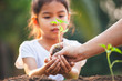 © pingpao - Cute asian child girl and parent planting young seedlings in the black soil together in the garden with fun