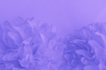 beautiful abstract color purple and blue flowers on white background and light purple flower frame a