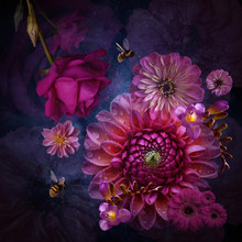 Flower Arrangement, Violet And Pink With Bumblebees