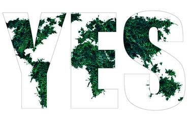 save nature concept from the green grass. yes word. ecological trends. environment protection of pla
