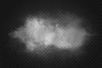 Wall Mural - vector realistic isolated smoke effect for decoration and covering on the transparent background.
