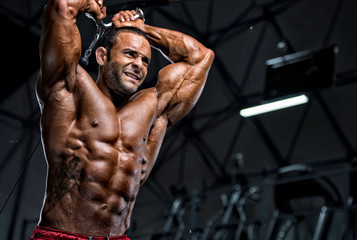 Wall Mural - Bodybuilder Doing Triceps Exercise in the Gym