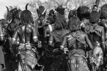 Wall Mural - hamer people, omo valley, naciones, ethiopia, africa