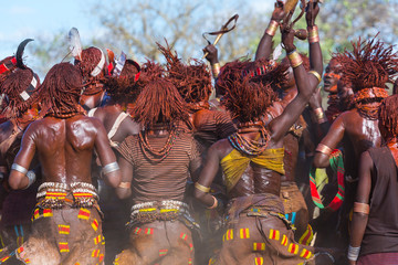 Wall Mural - hamer people, omo valley, naciones, ethiopia, africa