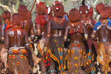 Wall Mural - hamer people, omo valley, naciones, ethiopia, africa