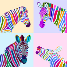 Colorful Set Zebra Pop Art Portrait Vector Ilustration Can Be Used To Design For T-shirt, Card, Poster, Invitation. Vector Illustration