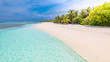 Idyllic summer beach scenery, Maldives island coastline with palm trees over white sand under blue sky