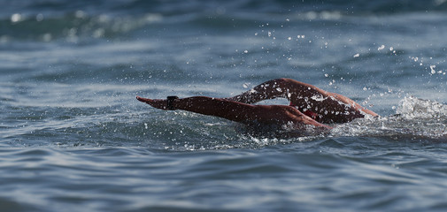 Wall Mural - Two swimmers swimming at triathlon the blue sea