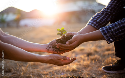 Fotografía Young seedlings are ready to grow in fertile soil, Agriculture gave the young men trees to prepare for planting and reduce global warming, Save world save life and Plant a tree concept