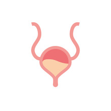 Isolated Bladder Icon Vector Design