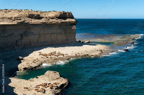 Cuadros en Lienzo A colony of sea lions on the rocks at the Valdes Peninsula, in Argentina, South