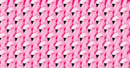 Wall Mural - Animation pattern design. Flamingo background minimal