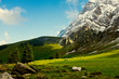 Swiss alpine mountain scene