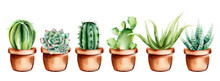 Set Of Watercolor Cactus, Aloe Vera And Flowers In Ceramic Pot