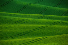 Beautiful Green Meadows, Fields And Hills Landscape In Moravian Tuscany, South Moravia, Kyjov, Czech Republic.